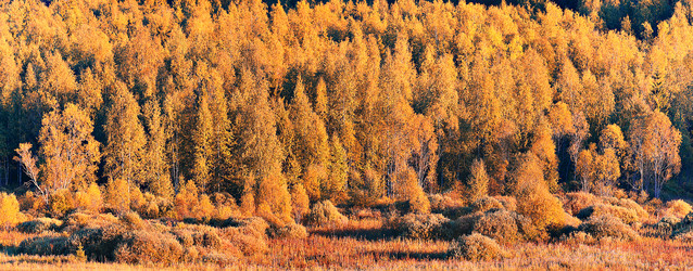 Similar image 10510947