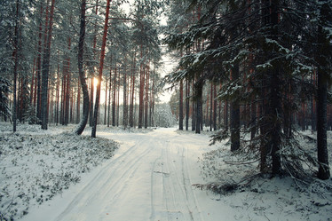 Similar image 10510954