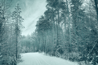 Similar image 10510957