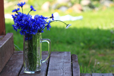 Similar image 10510956