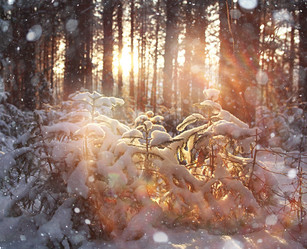 Similar image 10510960