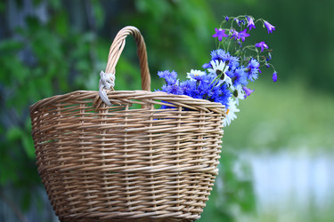 Similar image 10510961