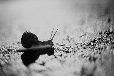 Similar image 10510962