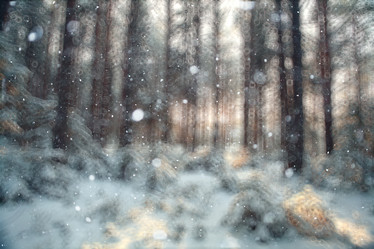 Similar image 10510965