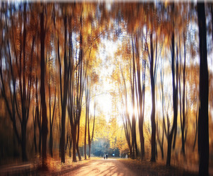 Similar image 10510973