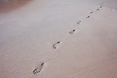 Similar image 10511004