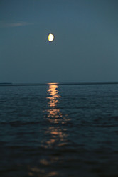 Similar image 10511008