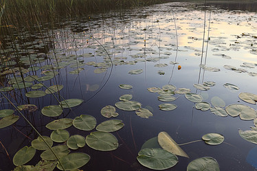 Similar image 10511061