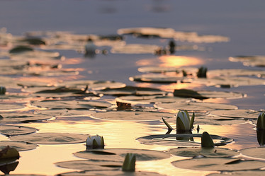 Similar image 10511063