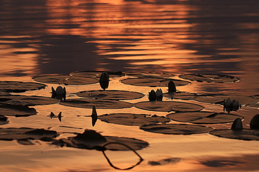 Similar image 10511064