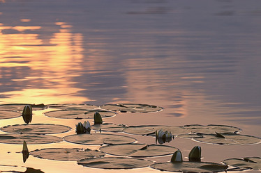 Similar image 10511065