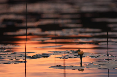 Similar image 10511066