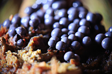 Similar image 10511075