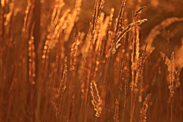 Similar image 10511076