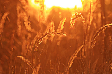 Similar image 10511077