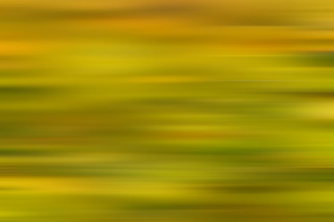 Similar image 10511114