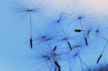 Similar image 10511139