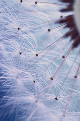 Similar image 10511141