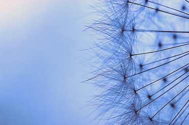 Similar image 10511142