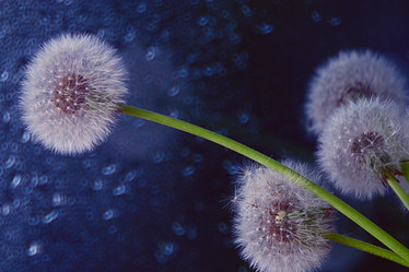 Similar image 10511145