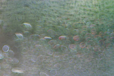 Similar image 10511157