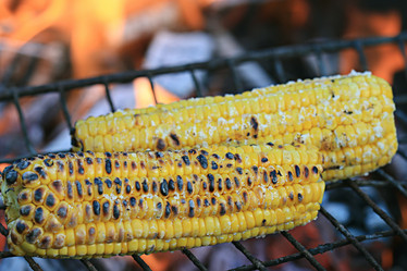 Similar image 10511163