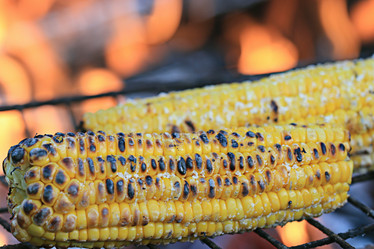 Similar image 10511164