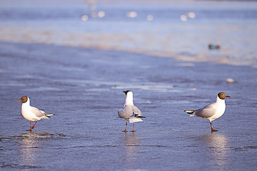 Similar image 10511168