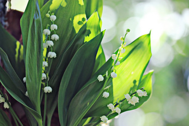 Similar image 10511233