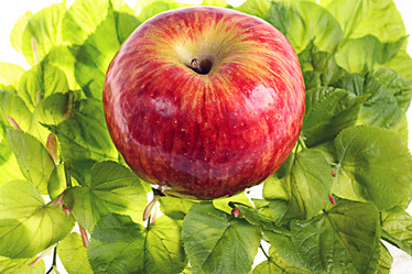 Similar image 10511240