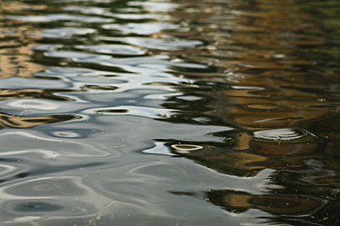 Similar image 10511242