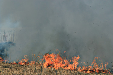 Similar image 10511244