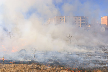 Similar image 10511246