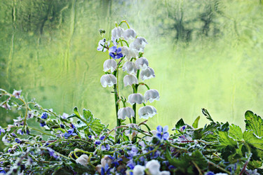 Similar image 10511250