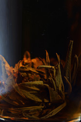 Similar image 10511254