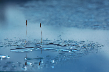 Similar image 10511256