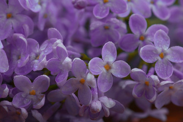 Similar image 10511257