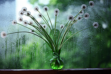 Similar image 10511258