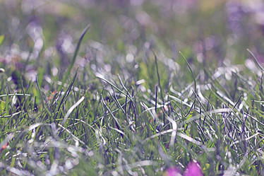 Similar image 10511264