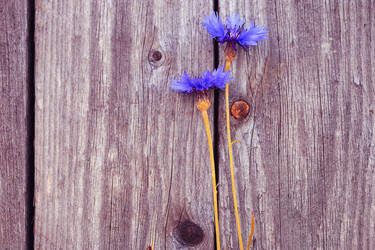 Similar image 10511277