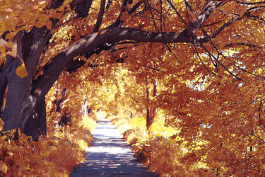 Similar image 10511282