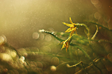 Similar image 10511300