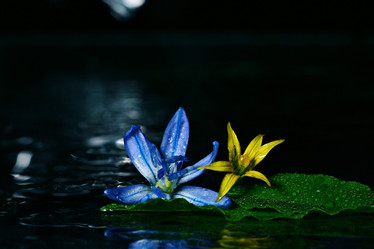 Similar image 10511303