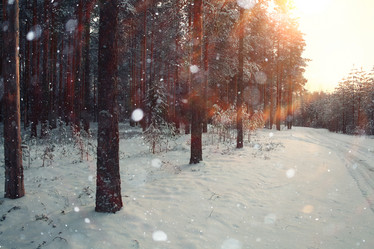 Similar image 10511304