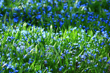 Similar image 10511318