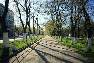 Similar image 10511321