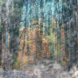 Similar image 10511322