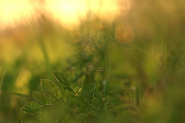 Similar image 10511324