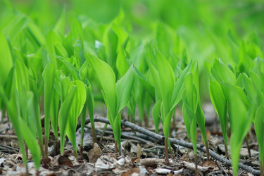 Similar image 10511326