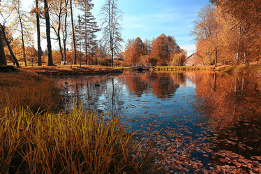 Similar image 10511335